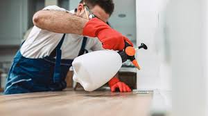 Emergency Pest Control in Agoura Hills, CA